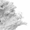 Coral Resina Branco - G - Imagem 5