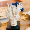 Coral Resina Branco - G - Imagem 4